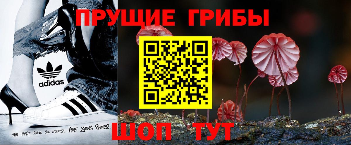Псилоцибиновые грибы GOLDEN TEACHER Тобольск